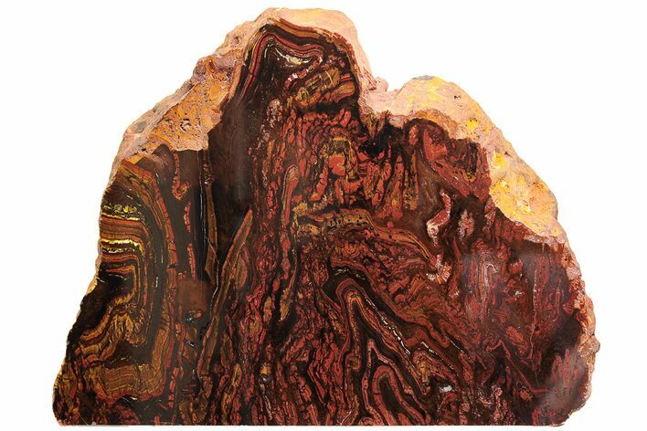 Free-Standing Polished Tiger Iron Stromatolite - Ga #222121